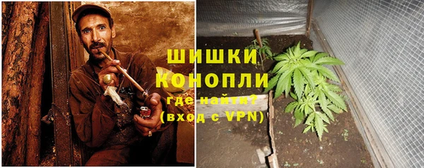 крисы Арсеньев
