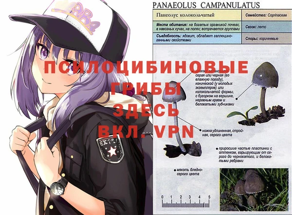 MESCALINE Армянск