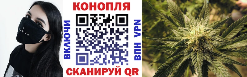 Каннабис Bruce Banner  ссылка на мегу ссылка  Юрьевец  как найти  